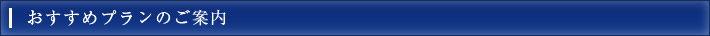 おすすめプランのご案内
