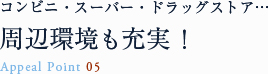 コンビニ・スーバー・ドラッグストア…周辺環境も充実!